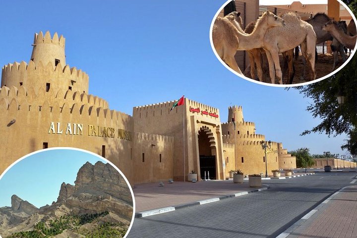 Al Ain City Tour from Dubai (Kids friendly) - Image 2