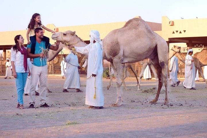 Al Ain City Tour from Dubai (Outdoor Activities ) - Image 1