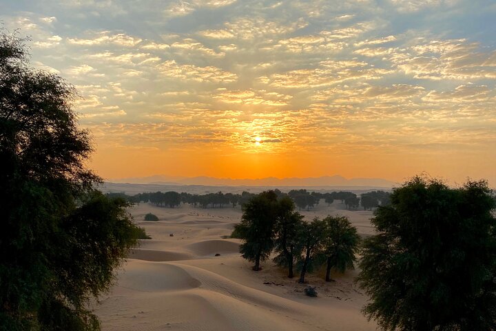 All-Inclusive Sherpa Camp in Dubai Desert Conservation Reserve - Image 3