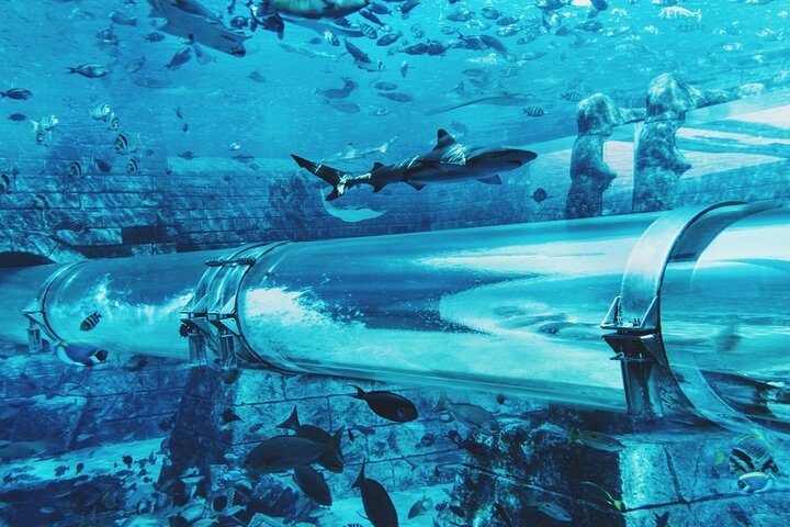 Atlantis water park & Lost Chamber with Ticket & Transfer - Image 4