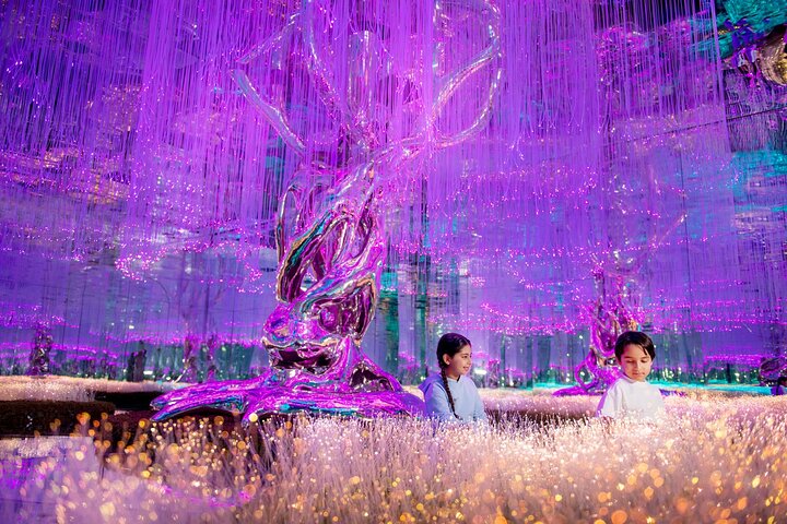 AYA Universe Light and Sound Park in Dubai with Optional Transfer - Image 1