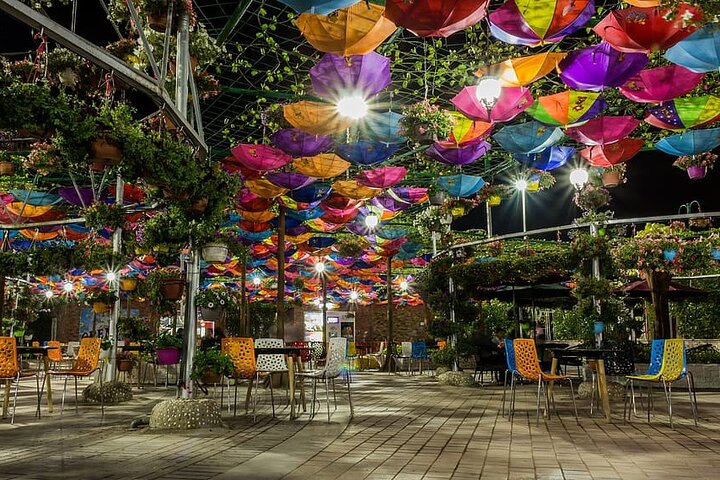 Burj Khalifa and Miracle Garden Tour with Private Transfers - Image 3