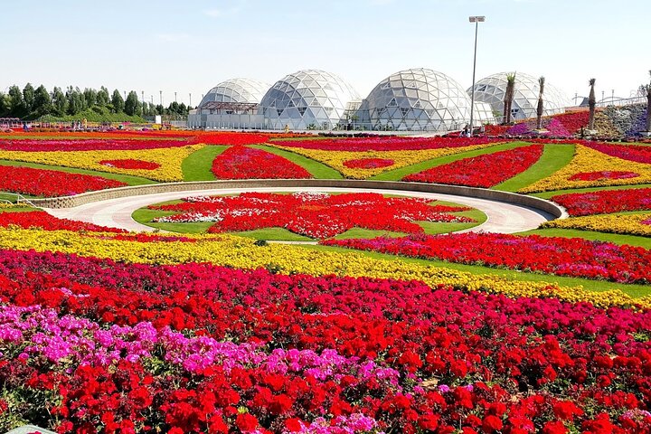 Burj Khalifa and Miracle Garden Tour with Private Transfers - Image 5