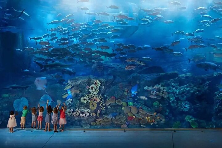 Burj Khalifa at the Top and Underwater Zoo Tour with Transfer - Image 1