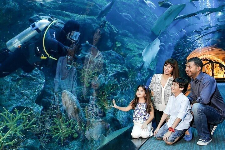 Burj Khalifa at the Top and Underwater Zoo Tour with Transfer - Image 5