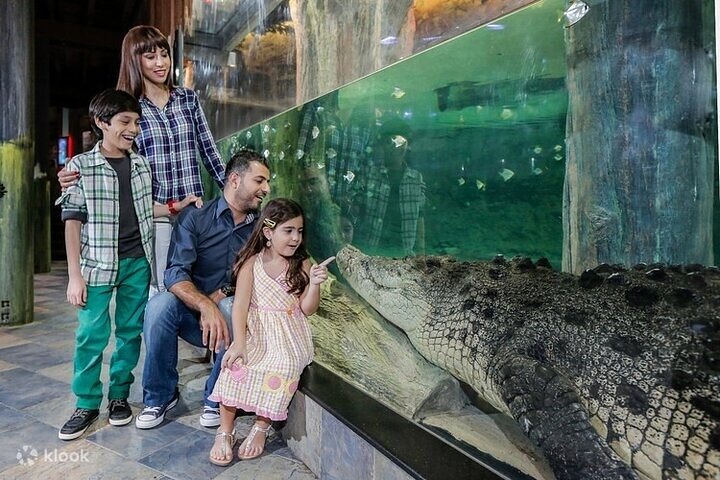 Burj Khalifa at the Top and Underwater Zoo Tour with Transfer - Image 4