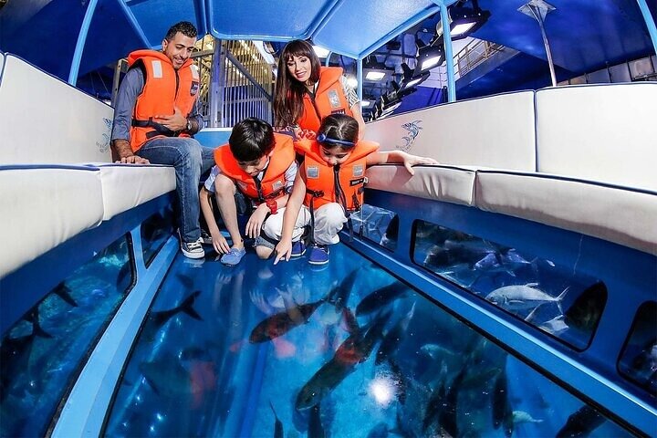 Burj Khalifa at the Top and Underwater Zoo Tour with Transfer - Image 2