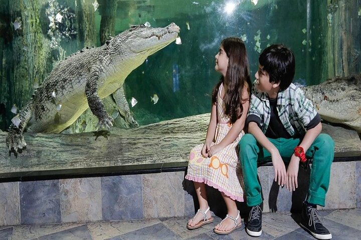 Burj Khalifa at the top & Under water zoo aquarium with Transfer - Image 4