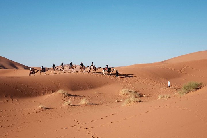 Camel Riding In Dubai Desert - Image 1