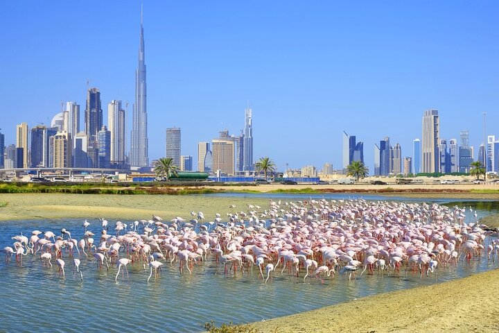 Charming Dubai City Tour with The View at The Palm - Scenic Tourist Attraction - Image 1