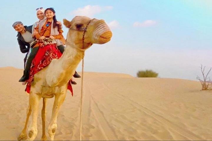 Combo Tour: Dubai Morning Desert Safari & Evening Sheikh Zayed Grand Mosque Tour - Image 2