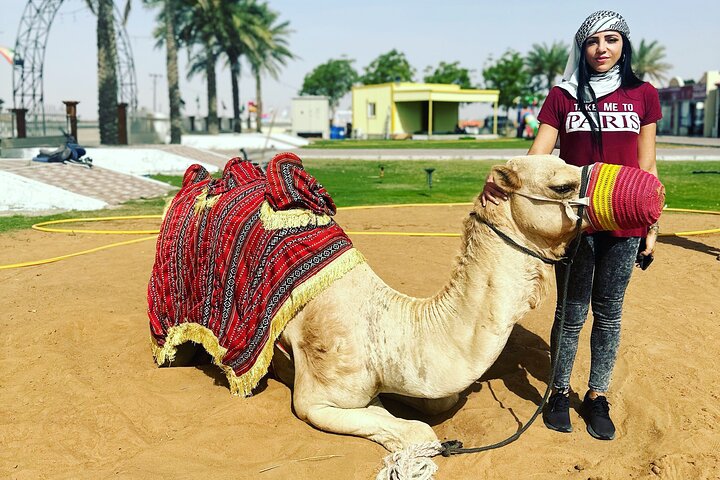 Desert Excursion with Camel Ride Sand Board & BBQ Dinner  - Image 3