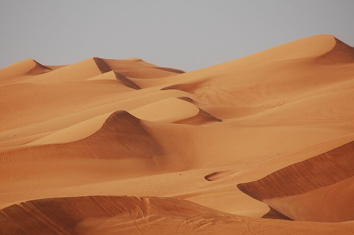 Desert Excursion with Typical Dinner and Arab Dance Show - Image 1
