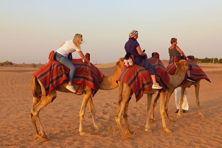 Desert Excursion with Typical Dinner and Arab Dance Show - Image 5