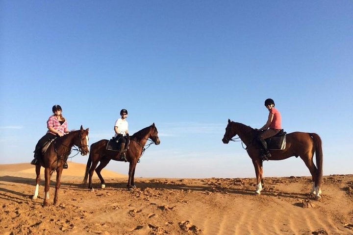 Desert Horse Riding In Dubai - Image 1