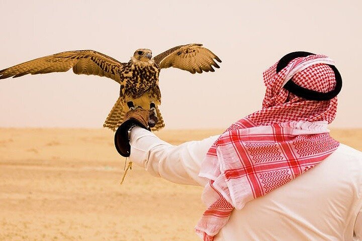 Desert Safari and Quad Bike Experience in Dubai with Dinner - Image 5