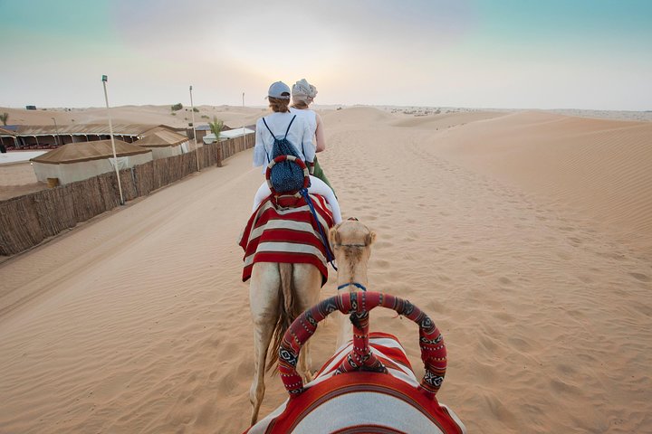 Desert Safari Dubai Adventure With BBQ & Live Shows - Image 4