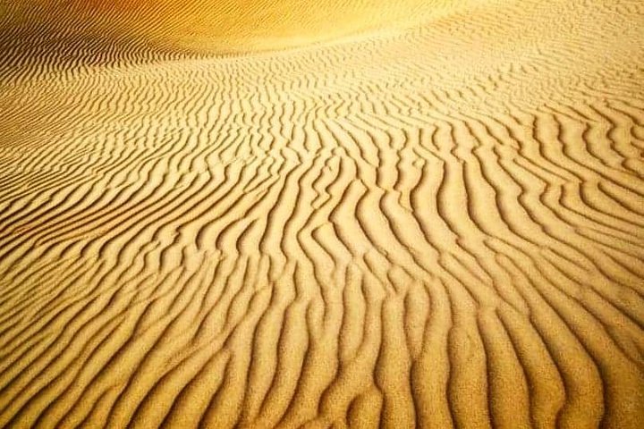 Desert Safari Dubai With BBQ Dinner And Live Shows - Image 4