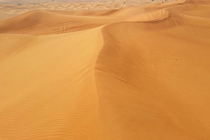 Desert Safari Dubai With BBQ Dinner And Live Shows - Image 5