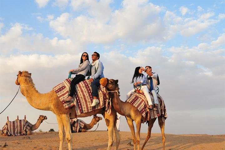 Desert Safari Dubai with BBQ Dinner & Live Shows - Image 5