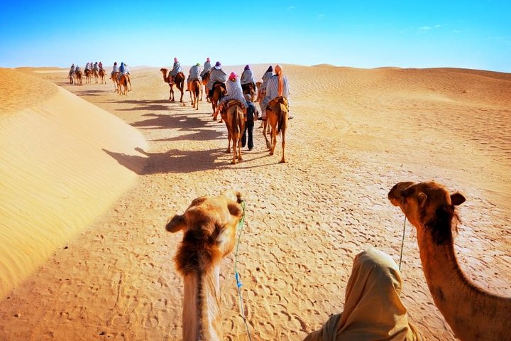 Desert Safari Dubai with BBQ Dinner & Live Shows - Image 2