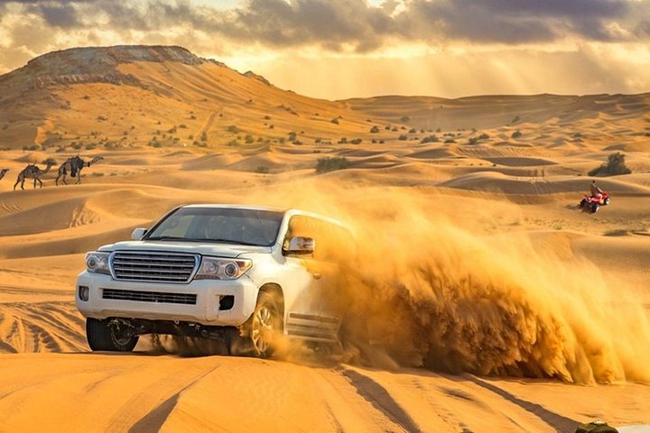 Desert Safari Morning with Camel Ride and Sand Boarding - Image 2