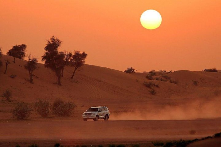 Desert Safari (Private Vehicle) - Image 1