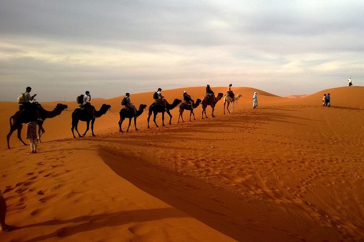 Desert Safari (Private Vehicle) - Image 2