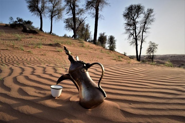Desert Safari Tour - Image 2