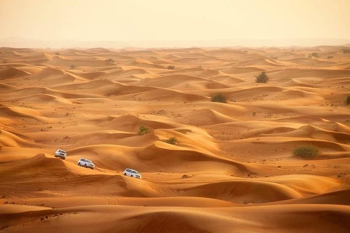 Desert Safari Tour - Image 5
