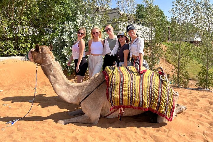 Desert Safari With BBQ Dinner And Camel Ride Experience from Dubai - Image 5