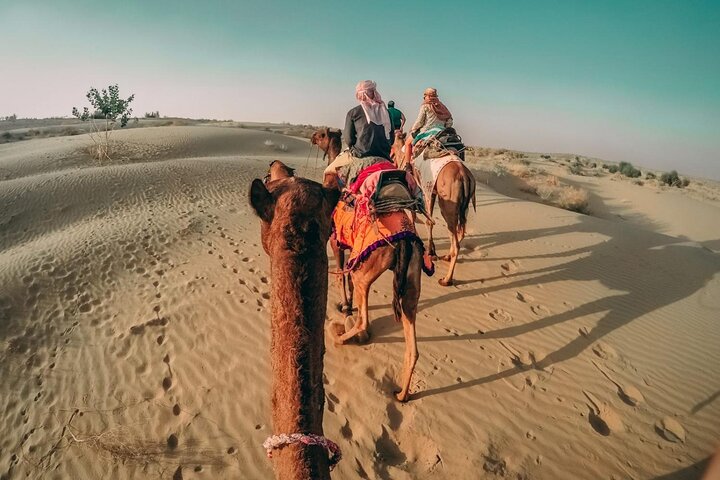 Desert Safari With BBQ Dinner, Quad Bike And Camel Ride Experience from Dubai - Image 3