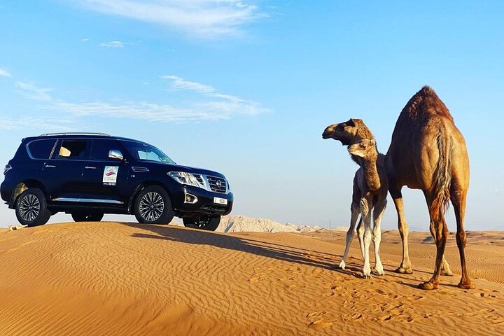 Desert Safari With BBQ Dinner, Quad Bike And Camel Ride Experience from Dubai - Image 5