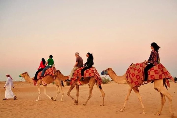 Desert Safari With Camel Ride - Image 1