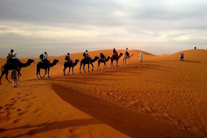 Desert Safari with Dinner 4WD - Image 1