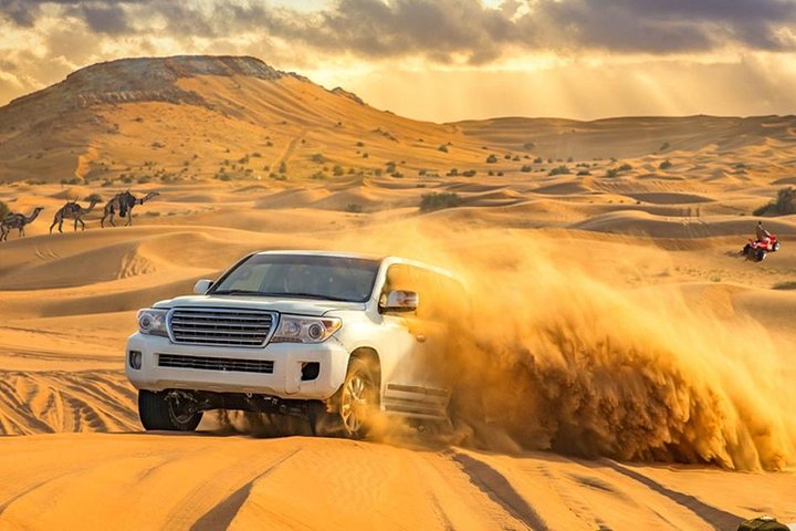 Desert Safari with Quad Bike Sand Boarding and a Camel Ride - Image 3