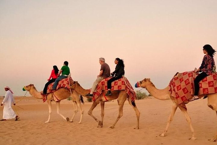 Desert Safari with Quad Bike Sand Boarding and a Camel Ride - Image 2