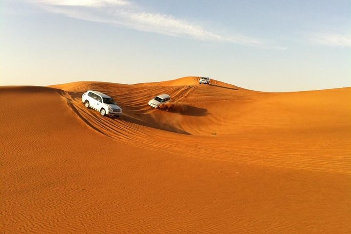 Dubai 30 Mins Quad Bike Desert Drive & Safari - Morning - Image 4