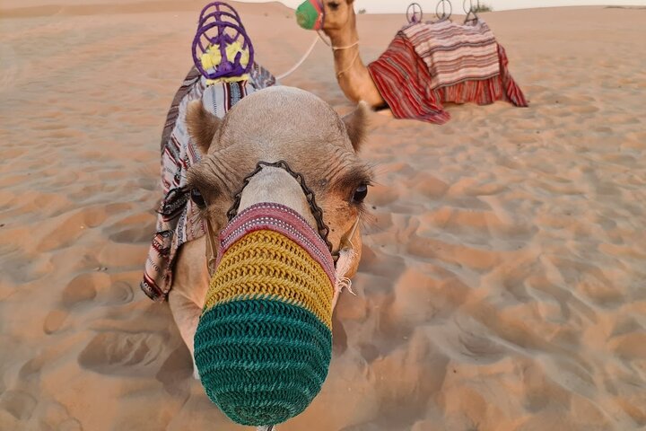 Dubai: 45-Minute Self-Drive ATV Quadbike, Camel Ride, Sand Surfing - Image 3