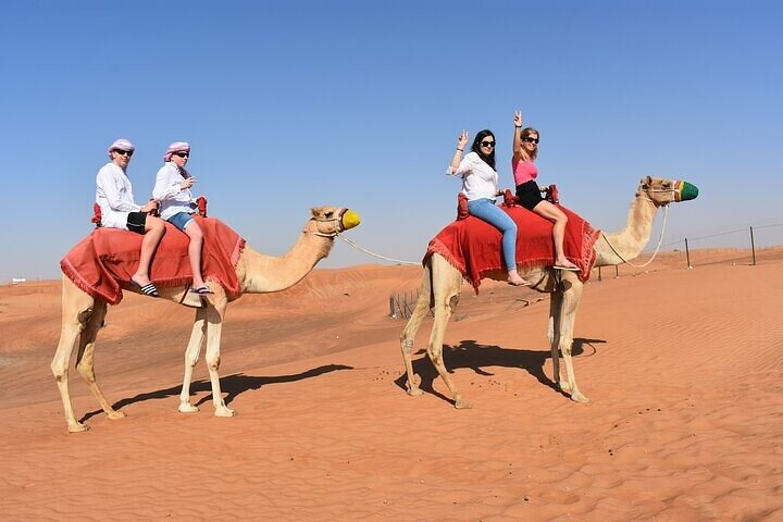 Dubai 4x4 Desert Safari Quad Bike Camel Ride and Sandboarding  - Image 2