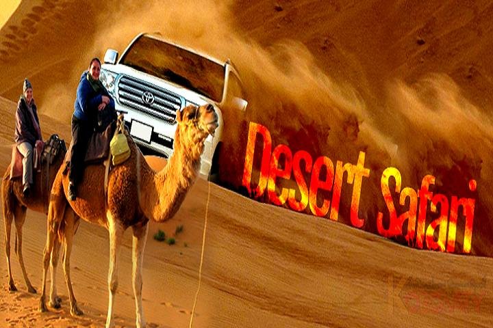 Dubai afternoon Desert Safari Private(Outdoor Activities ) - Image 2