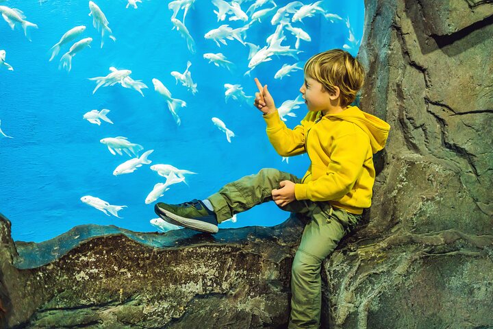  Dubai Aquarium and Underwater Zoo Explorer Tickets - Image 2