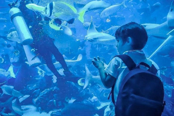  Dubai Aquarium and Underwater Zoo Explorer Tickets - Image 3