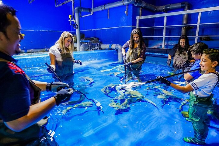  Dubai Aquarium and Underwater Zoo Explorer Tickets - Image 5