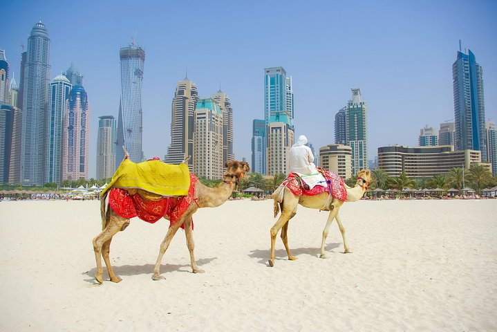 Dubai City Tour with Burj Khalifa at the top entry - Image 4