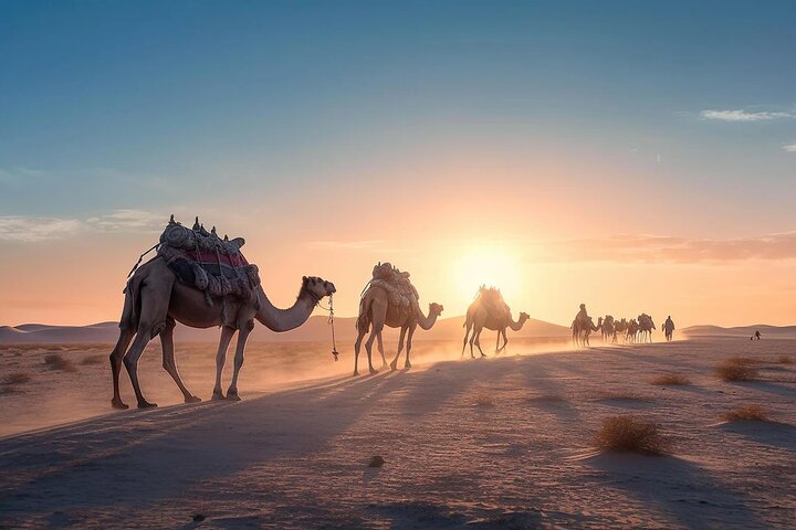 Dubai City Tour with Desert Safari Full Day Private Tour. - Image 2