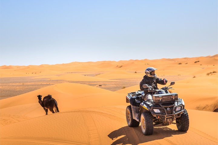 Dubai Desert 4x4 Safari, ATV Quad bike 20 minutes, BBQ, live show, sand boarding - Image 4