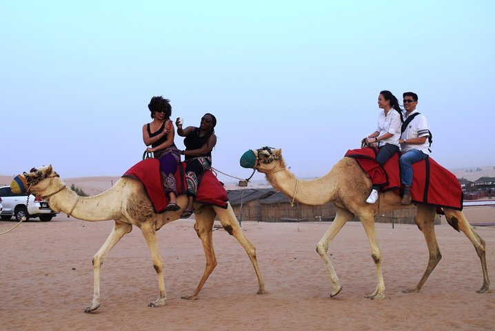 Dubai Desert 4x4 Safari with BBQ Dinner, Camel Ride,Sand boarding - Image 3