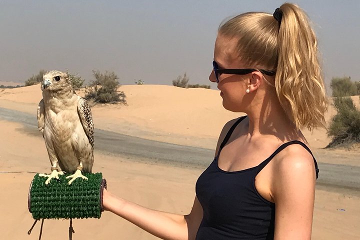 Dubai Desert Adventure Half-Day Tour - Image 2