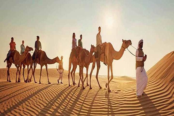 Dubai: Desert Quad Bike Safari, Camel Ride, Sand Surf, & BBQ - Image 3
